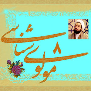 مولوی شناسی8/ آیا مولوی از معاویه تعریفی کرده است؟